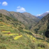 Paysage verdoyant au Népal