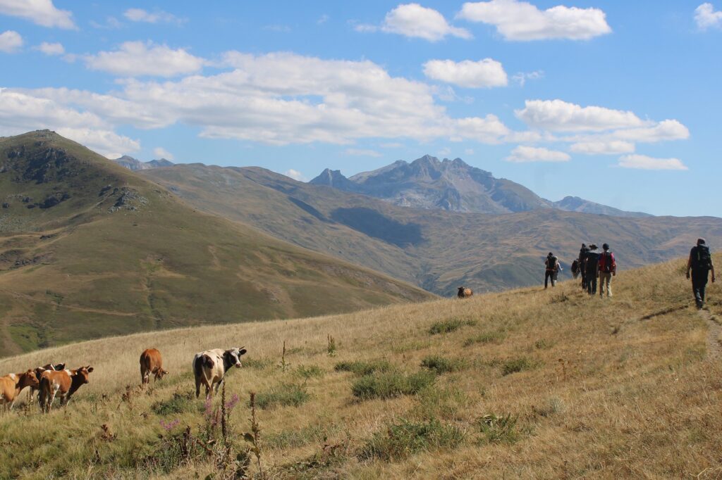 groupe de randonneurs en albanie du sud avec leur guide sur un chemin avec des vaches