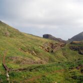 Sentier de montagne sur l'île de Madère avec de la végétation