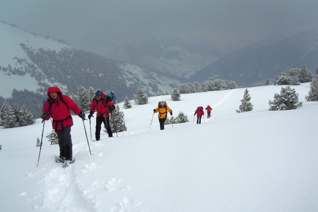 Groupe de randonneurs sur un sentier avec leur guide en raquette dans un paysage blanc de neige