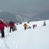 Groupe de randonneurs sur un sentier avec leur guide en raquette dans un paysage blanc de neige