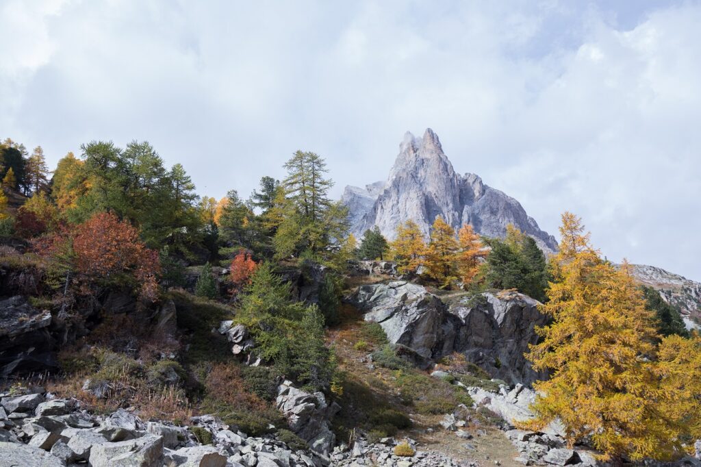 Paysage de montagne avec un sommet en fond et des arbres de différentes couleurs au premier plan