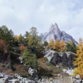 Paysage de montagne avec un sommet en fond et des arbres de différentes couleurs au premier plan