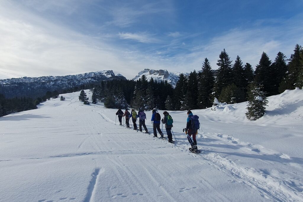 Groupe de randonneurs en raquettes avec leur guide en vallée d'Aspe, entouré de neige et d'arbres, avec en fond des sommets