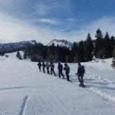 Groupe de randonneurs en raquettes avec leur guide en vallée d'Aspe, entouré de neige et d'arbres, avec en fond des sommets