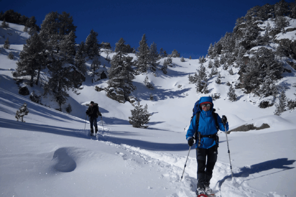 Groupe de randonneurs sur un sentier de randonnée avec leur guide, paysage hivernal couvert de neige