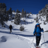 Groupe de randonneurs sur un sentier de randonnée avec leur guide, paysage hivernal couvert de neige