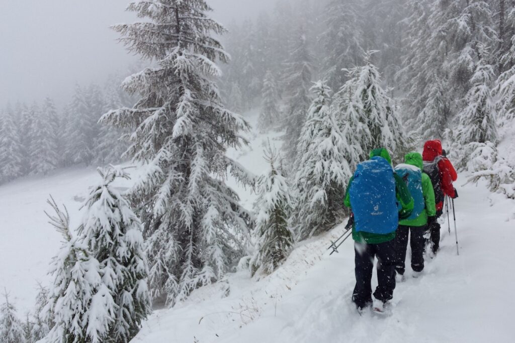 Groupe de randonneurs sur un sentier de randonnée en raquettes avec leur guide en hiver dans le domaine du Queyras