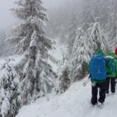 Groupe de randonneurs sur un sentier de randonnée en raquettes avec leur guide en hiver dans le domaine du Queyras