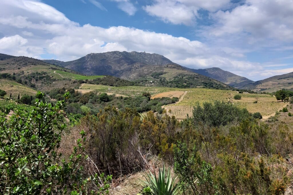 Paysage dans les Pyrénées orientales proche de Banyuls