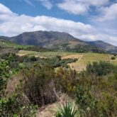 Paysage dans les Pyrénées orientales proche de Banyuls