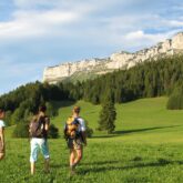 Groupe de randonneurs sur un sentier de randonnée