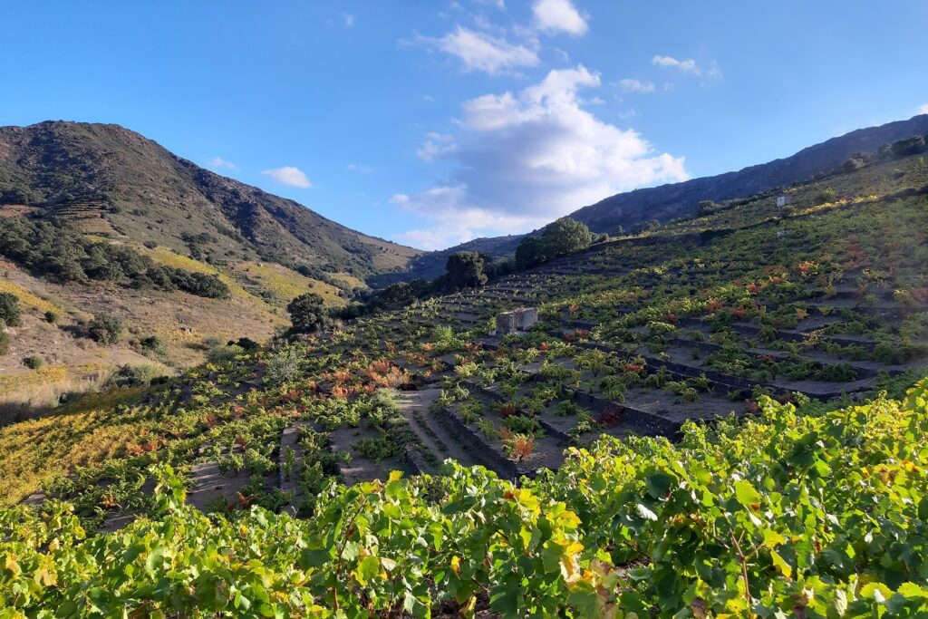 Paysage avec des reliefs sur les hauteurs de la ville de Banyuls lors d'un séjour de randonnée avec l'option balnéo