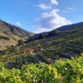 Paysage avec des reliefs sur les hauteurs de la ville de Banyuls lors d'un séjour de randonnée avec l'option balnéo