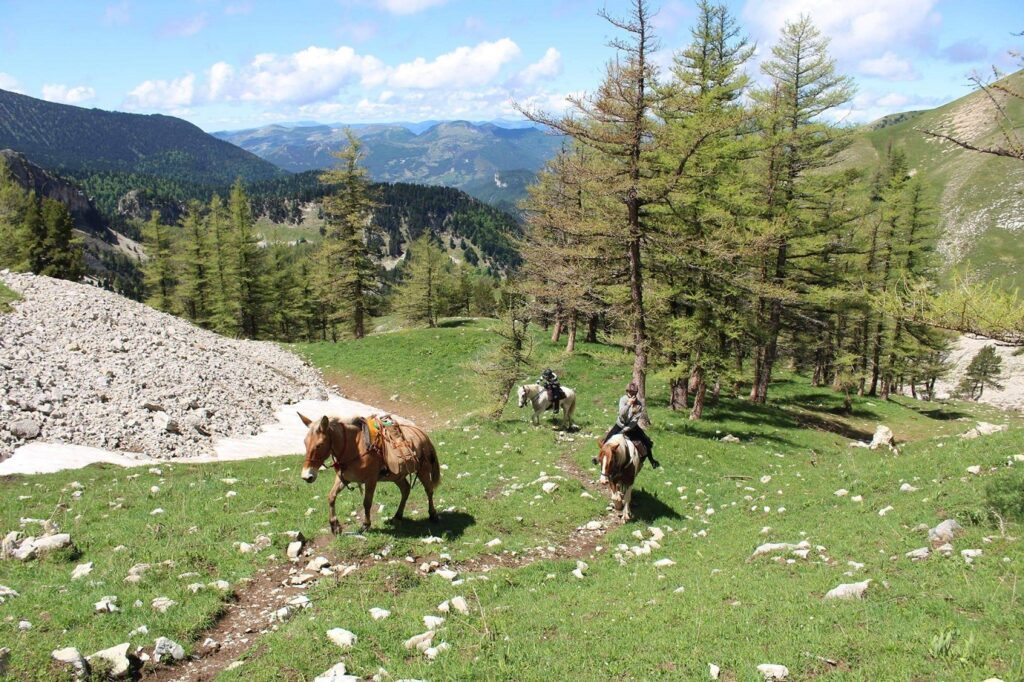 groupe de randonneurs à cheval avec leur guide sur un sentier de randonnée dans les Alpes