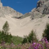 Paysage de montagne avec des fleurs au premier plan et des sommets à l'arrière