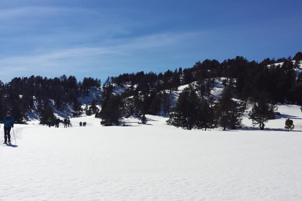 paysage d'un plateau dans le capcir encadré d'arbres des deux côtés