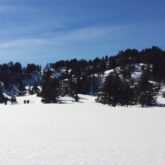 paysage d'un plateau dans le capcir encadré d'arbres des deux côtés