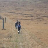 Groupe de randonneurs sur un sentier en liberté sur le chemin de Stevenson nord