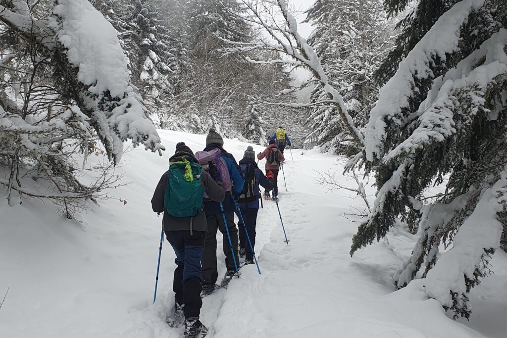 Groupe de randonneurs en raquettes avec leur guide dans la vallée d'Aspe, ils sont dans les forêts entre les arbres recouverts de neige