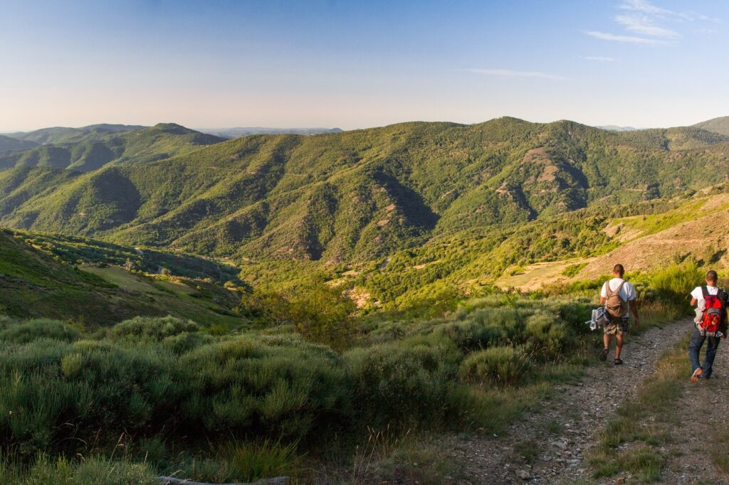 Paysage observé lors de la randonnée du chemin de Stevenson avec des montagnes couvertes d'arbres et de végétation