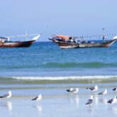 Paysage de bord de mer avec des bateaux au large et des mouettes sur le sable.