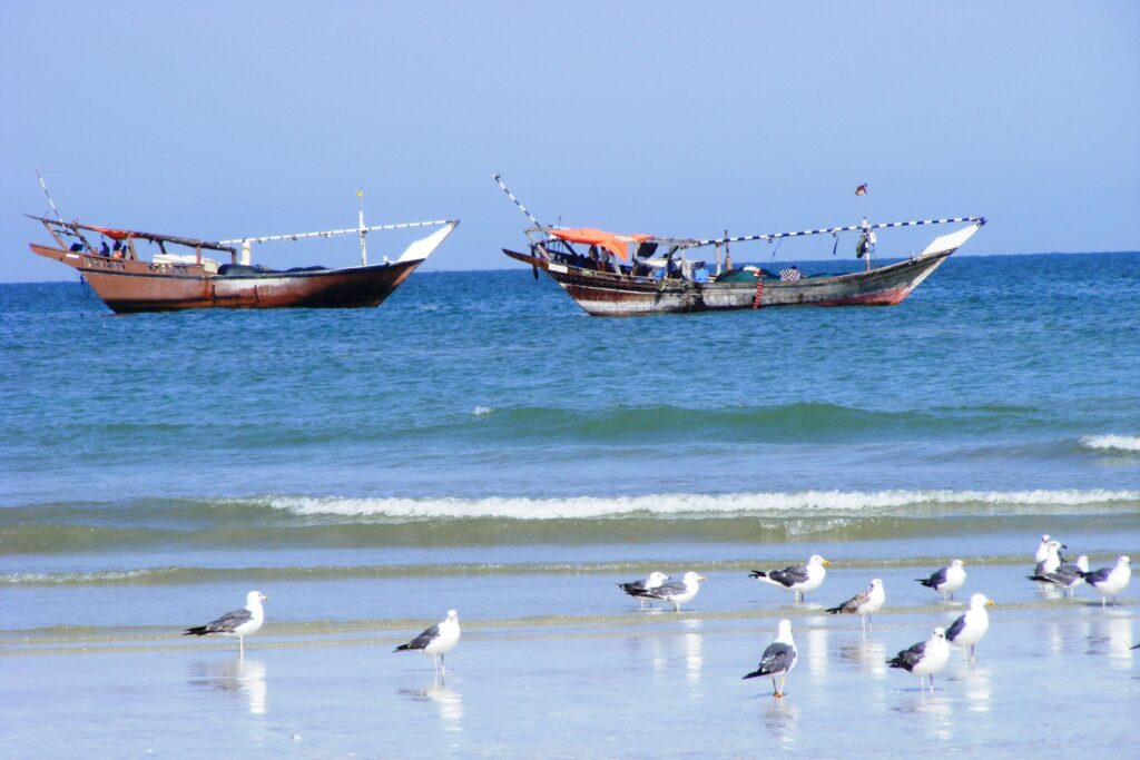 Paysage de bord de mer avec des bateaux au large et des mouettes sur le sable.