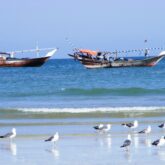 Paysage de bord de mer avec des bateaux au large et des mouettes sur le sable.
