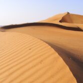 Paysages désertiques avec des dunes de sable ocre à Oman