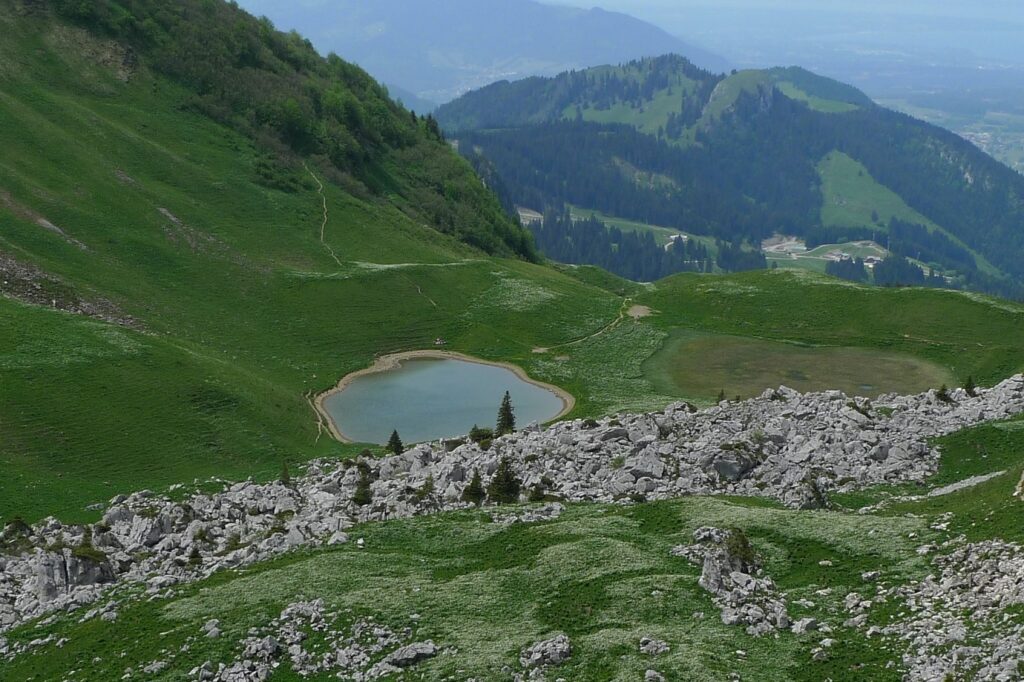 Paysage de montagne autour du lac Léman encadré de végétation et d'un sentier de roches