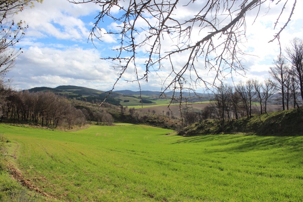 Paysage de campagne éclairé par le soleil lors d'une randonnée pour le réveillon à Pampelune en Espagne