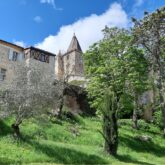 Monument médiéval sur les hauteurs du village, encadré d'arbres en contrebas