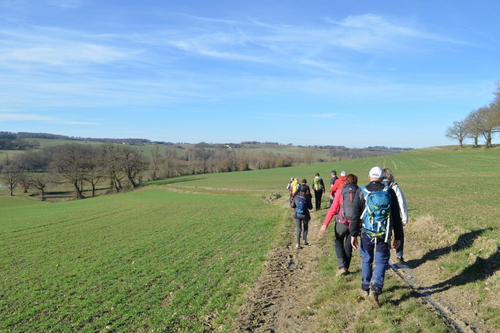 Groupe de randonneurs sur un sentier dans un champ avec leur guide dans un champ