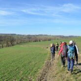 Groupe de randonneurs sur un sentier dans un champ avec leur guide dans un champ
