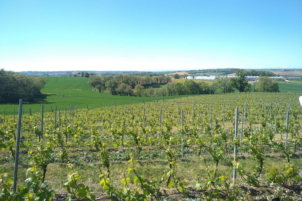 Paysage dans le Gers observé lors d'un séjour de randonnée accompagné d'un guide de découverte de randonnée et de spécialités du Gers