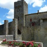 Vue de l'extérieur d'une construction de forteresse médiévale, encadrée de fleurs dans le jardin