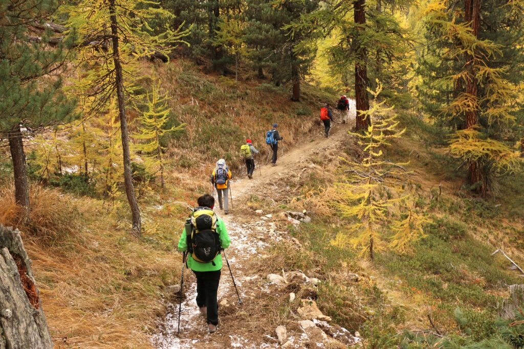 Groupe de randonneurs avec leur guide sur un sentier de randonnée dans le massif du Queyras