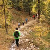 Groupe de randonneurs avec leur guide sur un sentier de randonnée dans le massif du Queyras