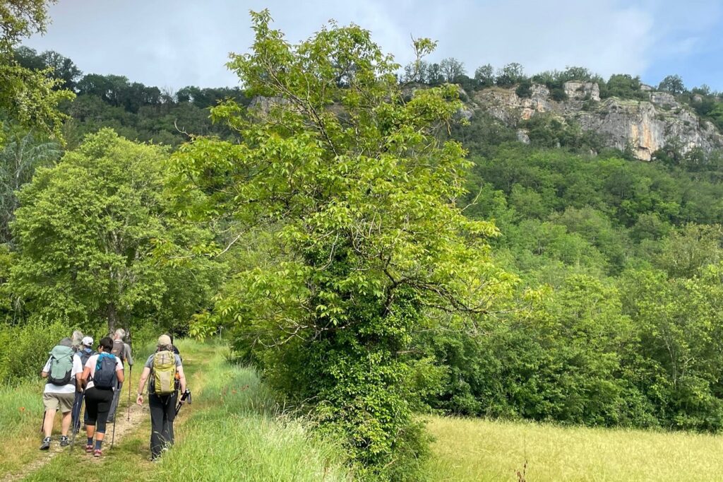 Groupe de randonneurs sur un sentier de randonnée avec des champs de part et d'autre et sur les hauteurs un village perché, caractéristique du lot