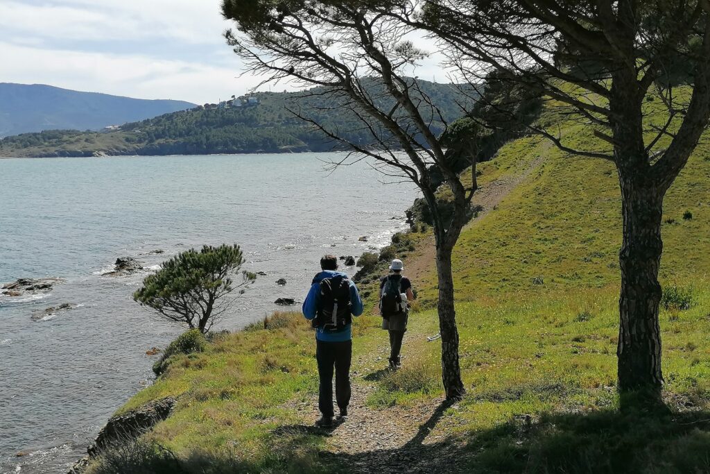 Deux randonneurs en bord de mer avec des pins sur le côté droit et la mer à gauche