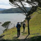 Deux randonneurs en bord de mer avec des pins sur le côté droit et la mer à gauche