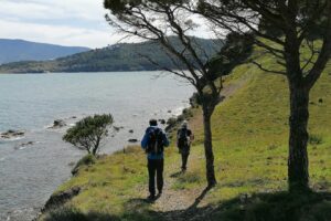 Deux randonneurs en bord de mer avec des pins sur le côté droit et la mer à gauche
