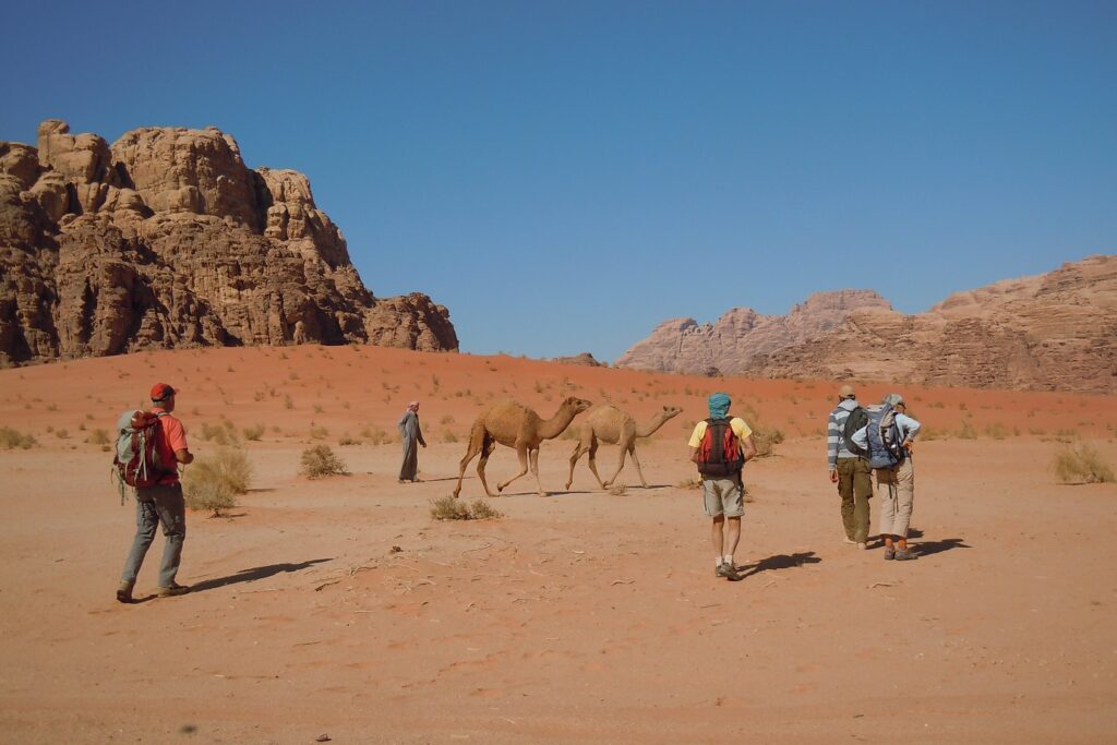 Groupe de randonneurs avec leur guide qui marchent à travers le sable de différentes couleurs, avec des dromadaires en fond