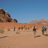 Groupe de randonneurs avec leur guide qui marchent à travers le sable de différentes couleurs, avec des dromadaires en fond