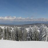 Paysage enneigé dans le Jura lors d'un séjour de randonnée avec un guide en raquette de la traversée du Jura franco-suisse