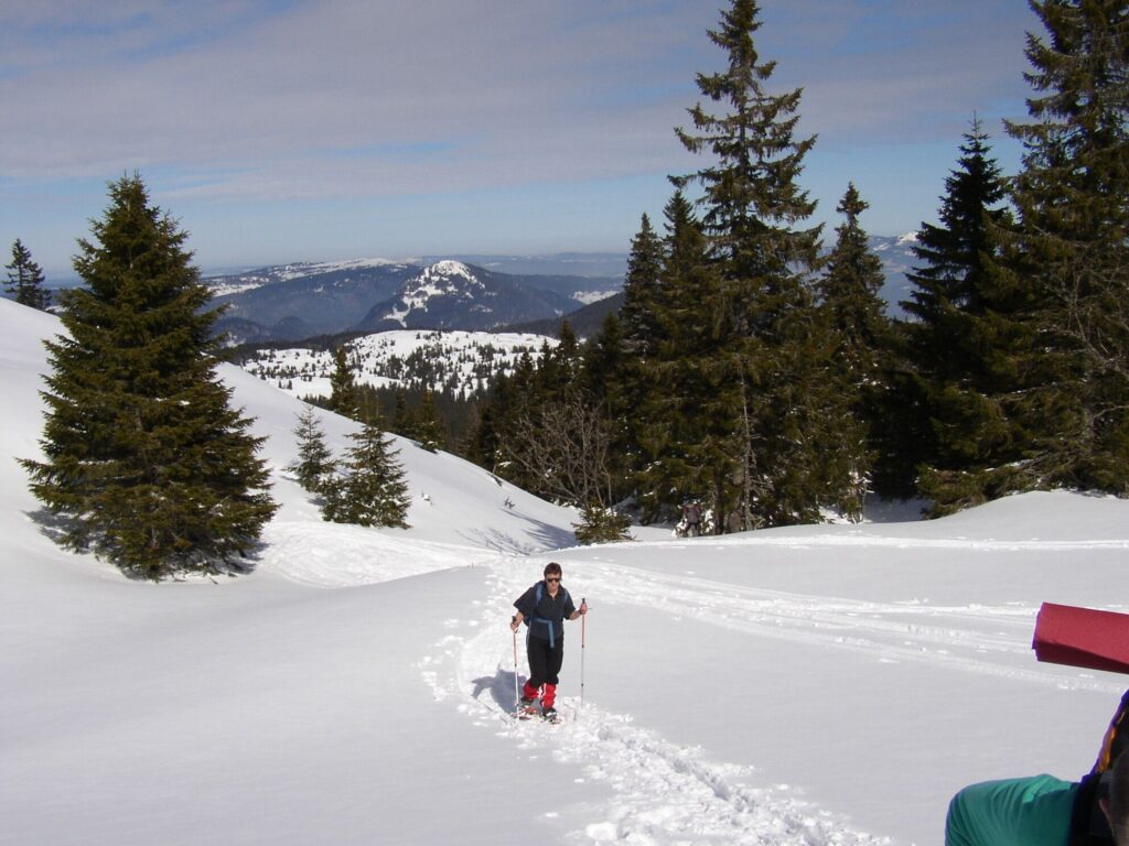 Groupe de randonneurs avec leur guide sur un sentier de raquettes avec des arbres en fond