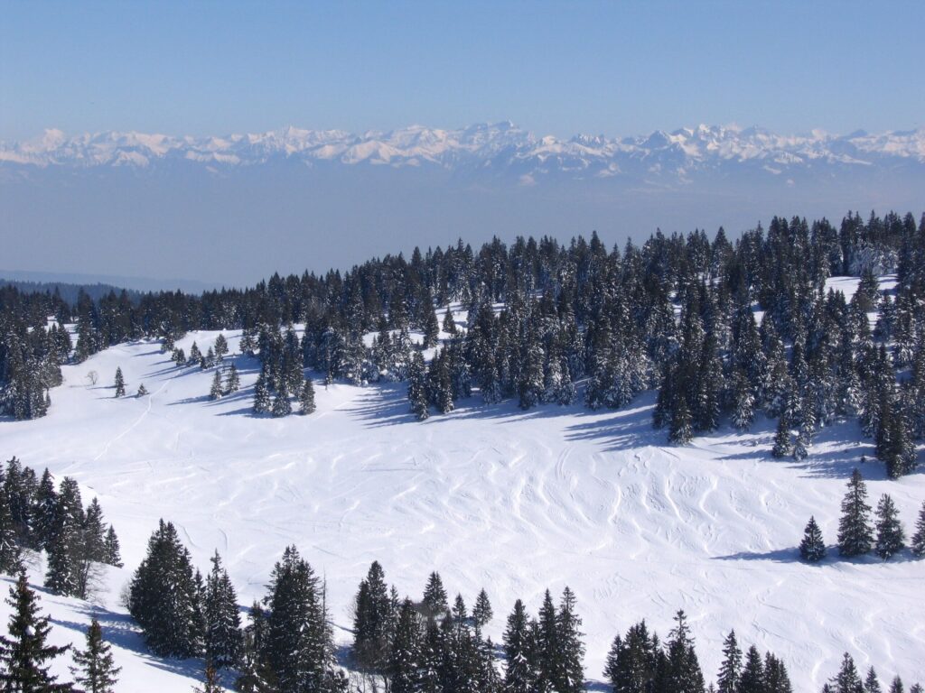 Paysage hivernal dans le Jura avec des arbres de part et d'autre