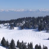 Paysage hivernal dans le Jura avec des arbres de part et d'autre