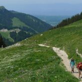 Groupe de randonneurs avec leur guide sur un sentier de randonnée dans la zone du lac Léman au cours d'un séjour de randonnée