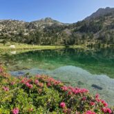 Paysage de montagne dans le massif du Néouvielle avec un lac au premier plan et des sommets à l'arrière
